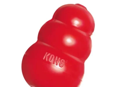 Kong para perros