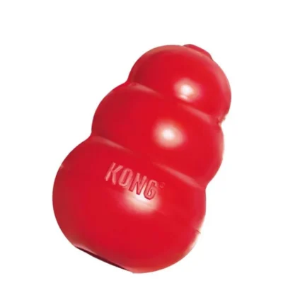 Kong para perros