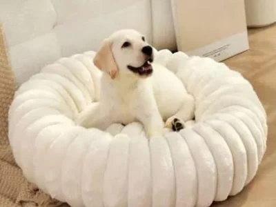 Cama minimalista para mascotas