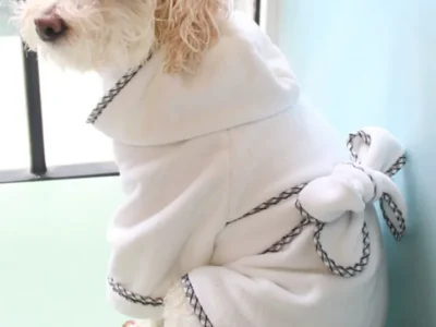 Toalla absorbente para perritos