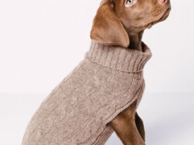 9c4c5ecc511c966e485229f9481ae842 Abrigo café