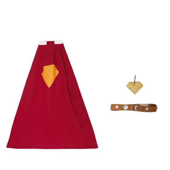 Disfraz de superhéroe para mascotas