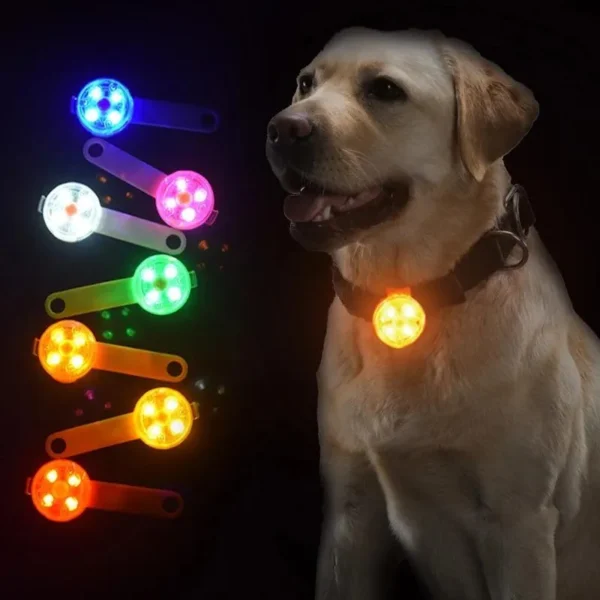 imagen_2026-04-04_204442437 Collar LED para mascotas