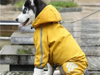 Suéter impermeable para mascotas